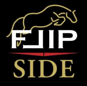 Flipside logo